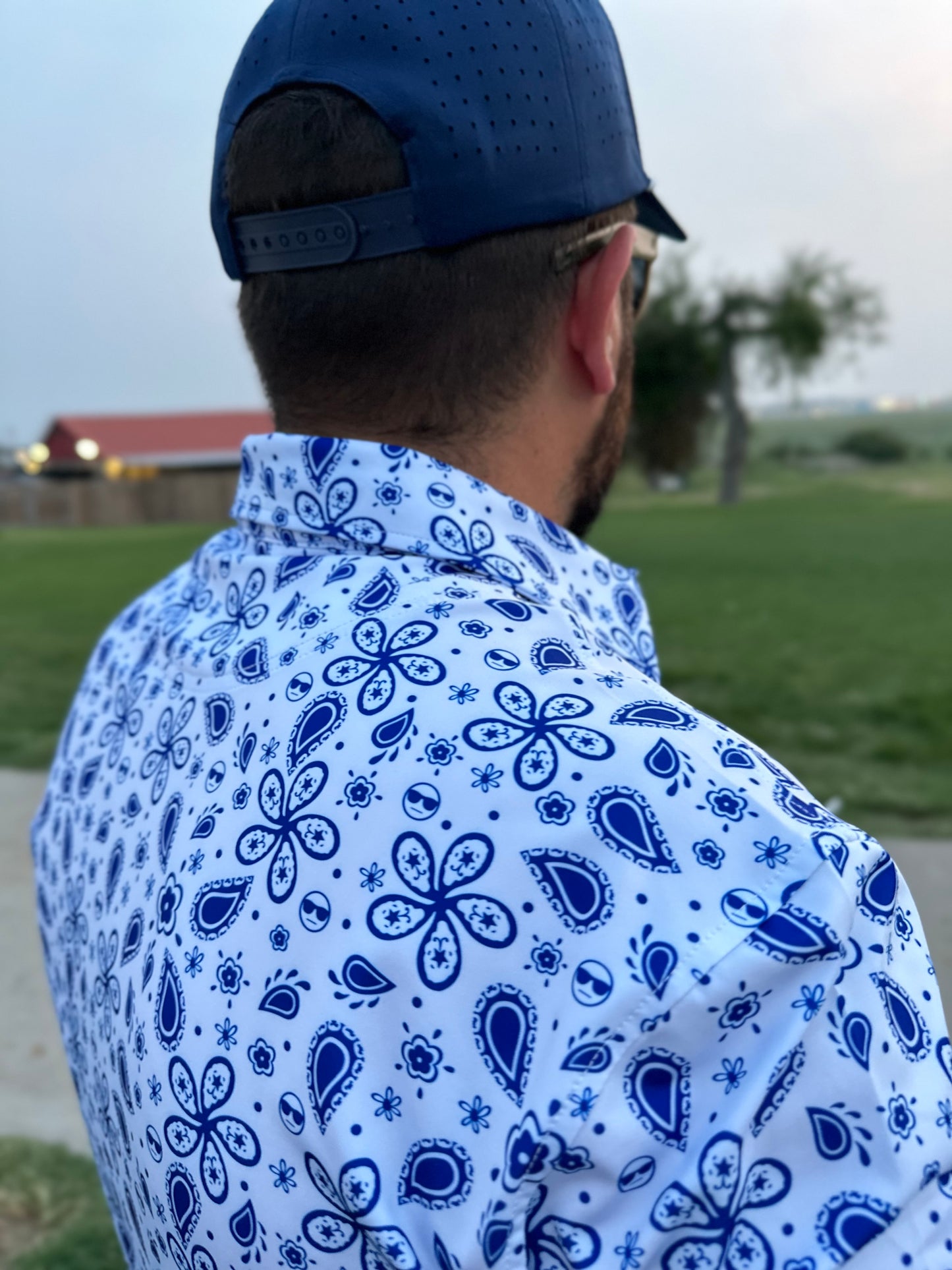 Blue Paisley